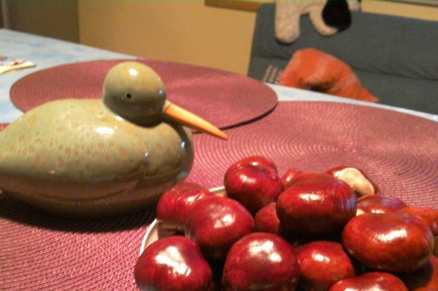 Tą dekorację mam w kuchni. Kasztany wyglądają jak ciasteczka... :) Obok postawiłam bardzo ładną, ceramiczną kaczkę :)