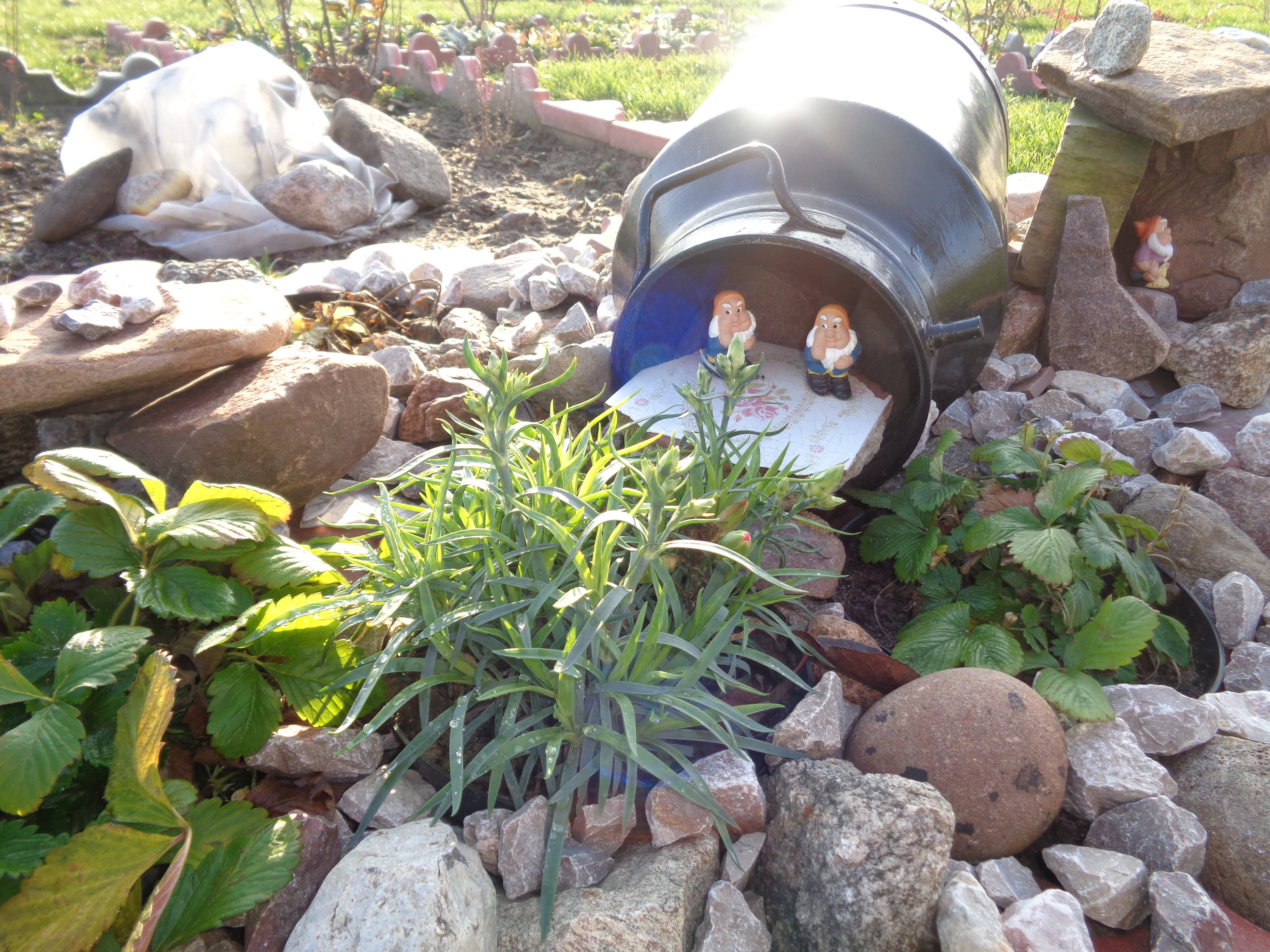 Także krasnale cieszyły się ze wspaniałej pogody. 