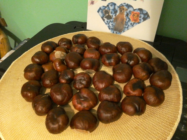 To kasztanowe serce, a w tyle jest wachlarz z motywem borówki i piesków chihuahua, który własnoręcznie wykonałam :)