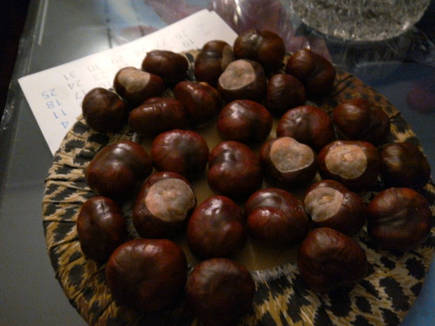 To kasztanowy kwiatek :)