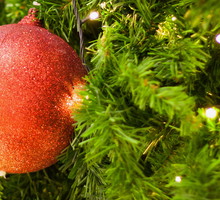 Udekorowane drzewko świąteczne (zdj.: Fotolia.com)