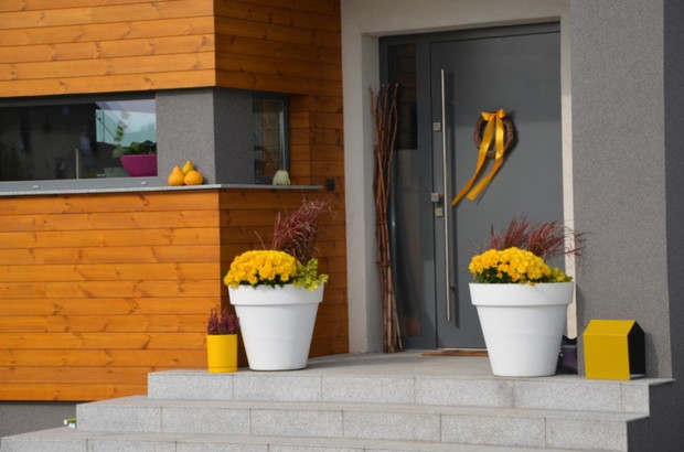 W jesiennych barwach