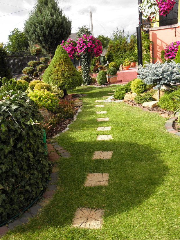 w tle surfinie na metalowym stojaku porośniętym bluszczem zimozielonym