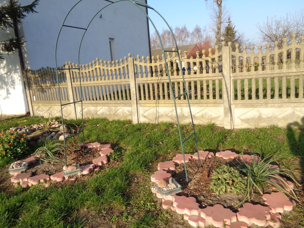 Zadawalająca pergola.