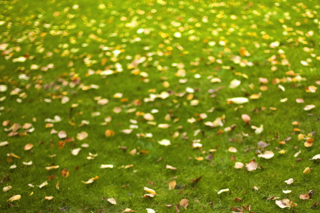 (zdj.: Fotolia.com)