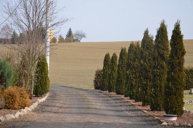 Aż chce się wyjść na spacer :)