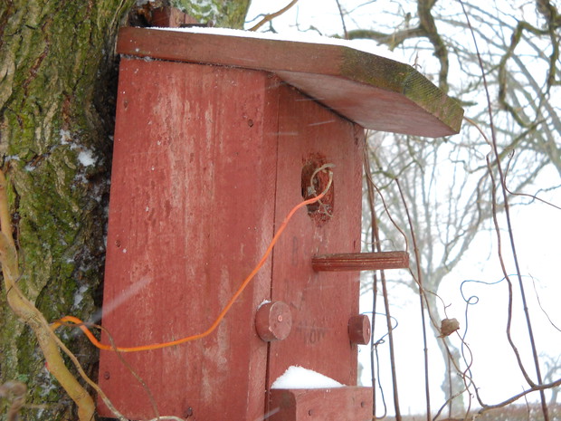 Budka lęgowa dla ptaków.