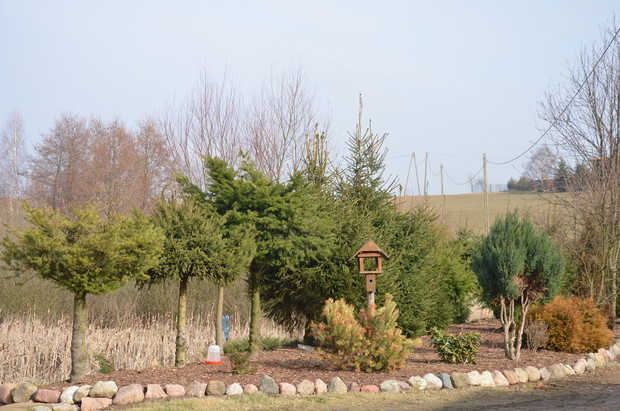 Coraz mniej moich przyjaciół w jadłodajni  :( , a to oznacza nadejście wiosny :)