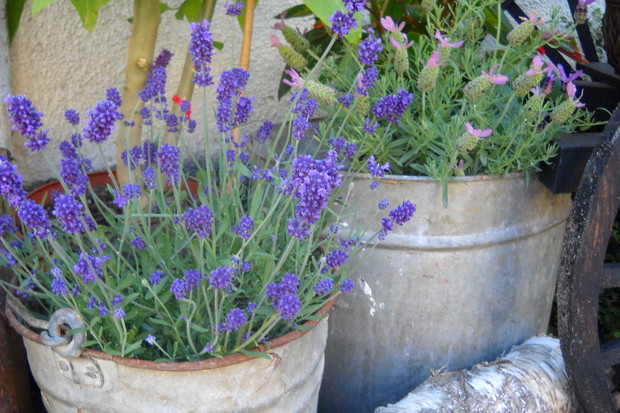 Cynkowe wiadra i kotły.