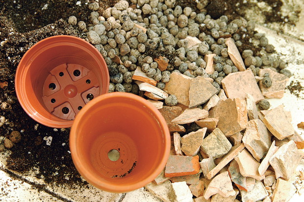 Doniczki plastikowe są lekkie i praktyczne, natomiast gliniane znacznie krócej utrzymują wilgotność ziemi.