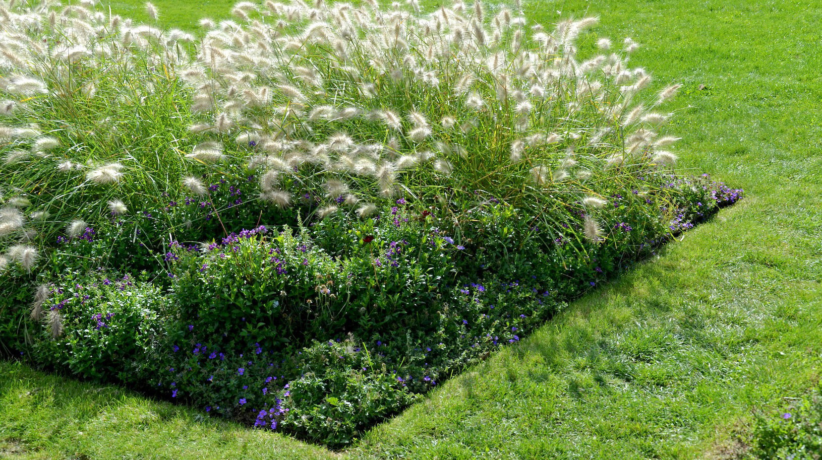 Doskonale przygotowana rabata (zdj.: Fotolia.com)