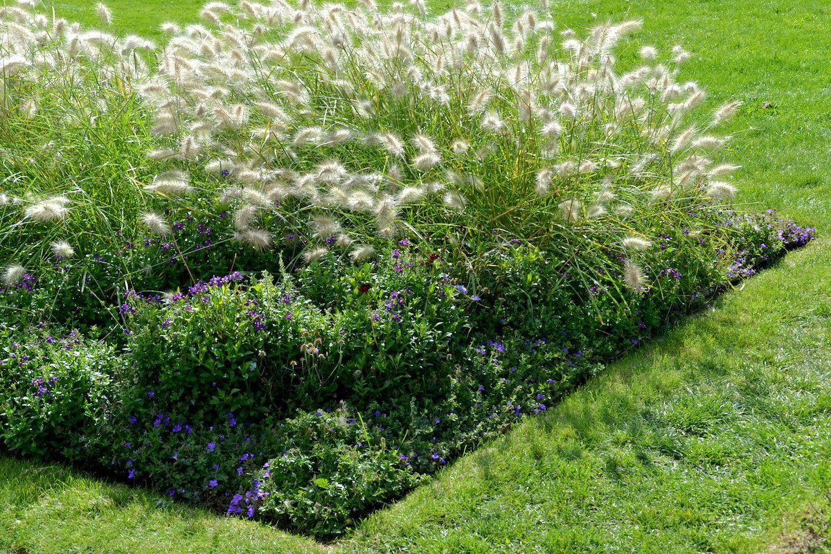 Doskonale przygotowana rabata (zdj.: Fotolia.com)