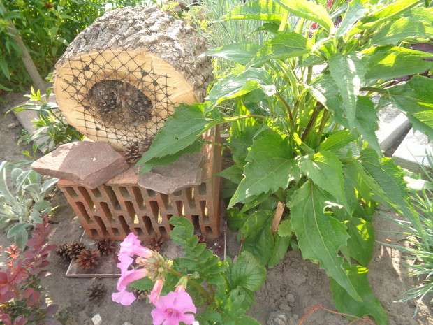 Dowolność materiałów i nasza fantazja może stworzyć najbardziej różnorodne domki dla tych pożytecznych stworzeń . 