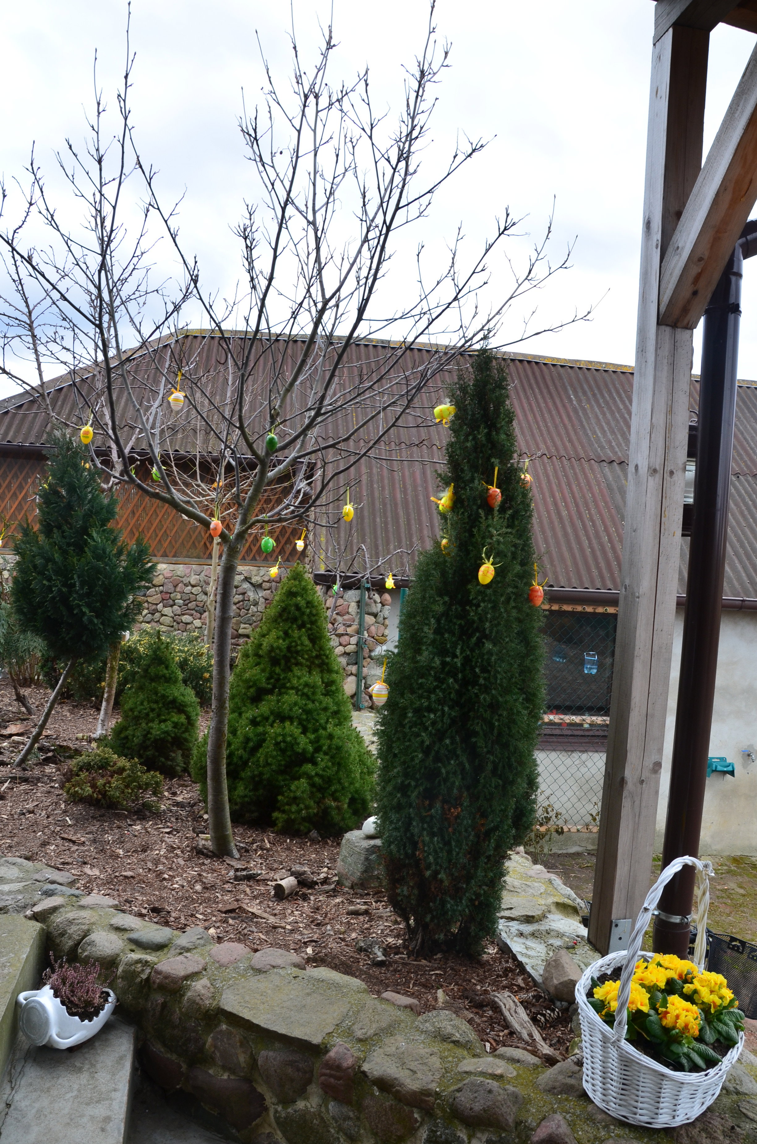 Drzewka już wystrojone w jajeczka :)