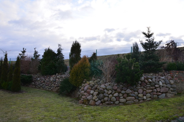 Duży skalniak z iglakami :)