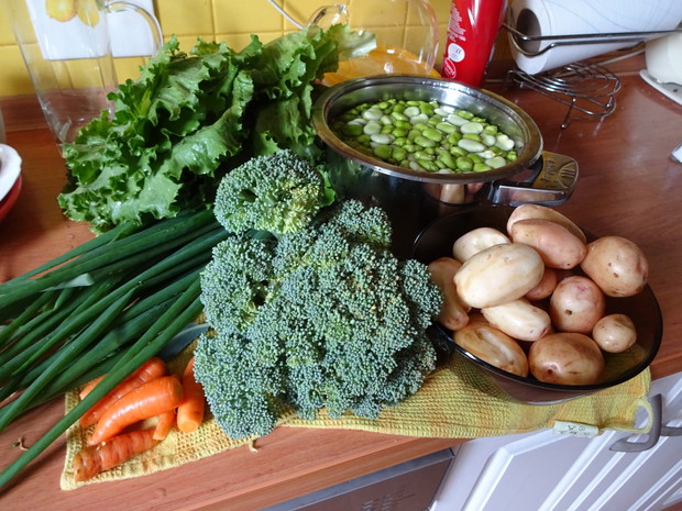 i warzywka już zebrane. 100% eko.