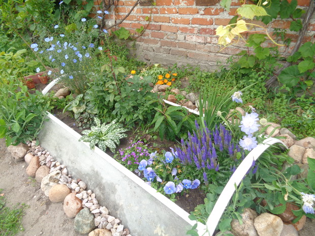 Już latem barwne kwiaty wspaniale wprowadziły zmiany. 