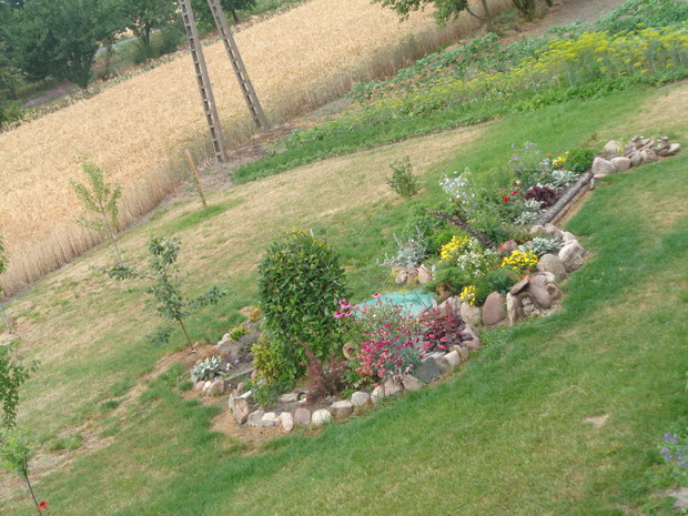 Już latem zaobserwowaliśmy ogromne zmiany. 