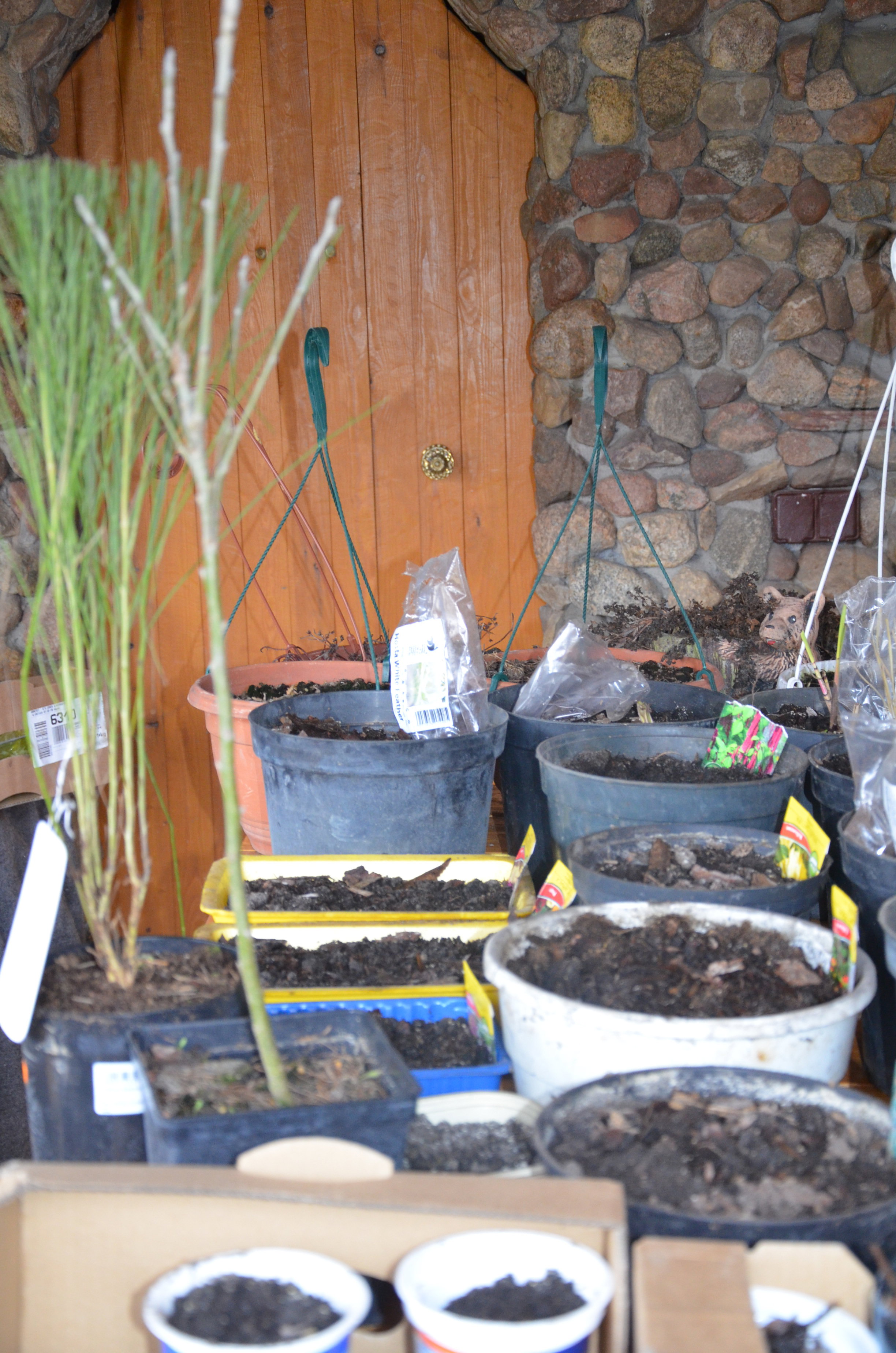 Już zrobiłam pierwszy wysiew nasion i roślin w pojemniczki :)   2016 r.