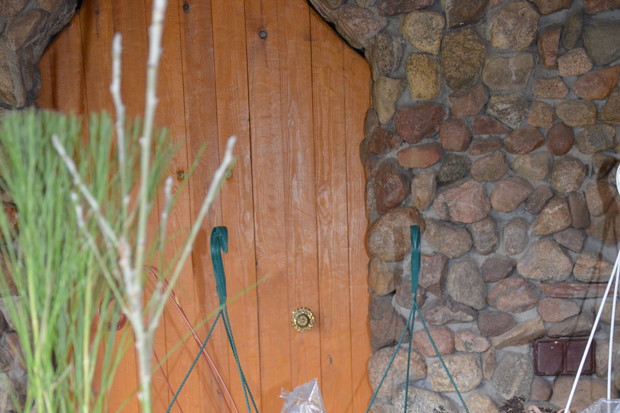 Już zrobiłam pierwszy wysiew nasion i roślin w pojemniczki :) 2016 r.