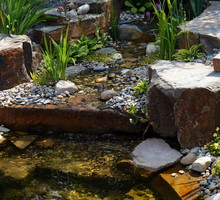 Kamień to najbardziej przydatny materiał w osiągnięciu geometrii w otoczeniu ogrodu wodnego (zdj.: Fotolia.com)