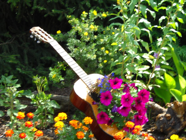 Kwietnik z gitary.