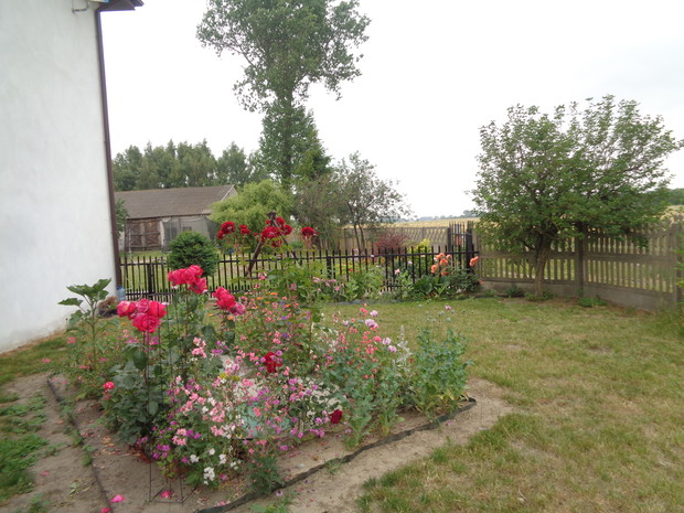 Latem kolorowo i wesoło. 