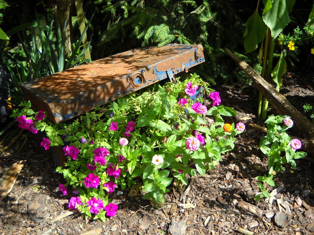 Metalowa skrzynia na rabacie.