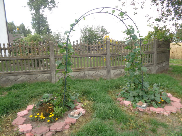 miłej niespodzianki