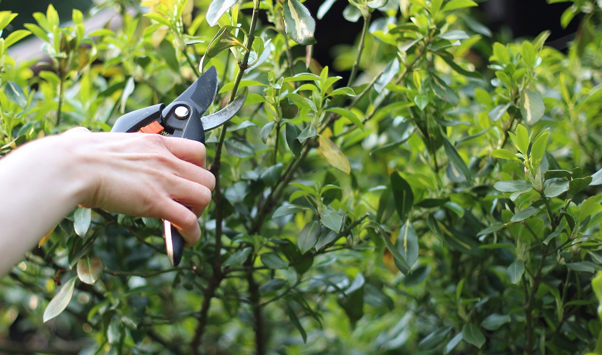 Nagraj swoje prace w ogrodzie by wygrać cenne nagrody! Masz czas do 15.03.2016!