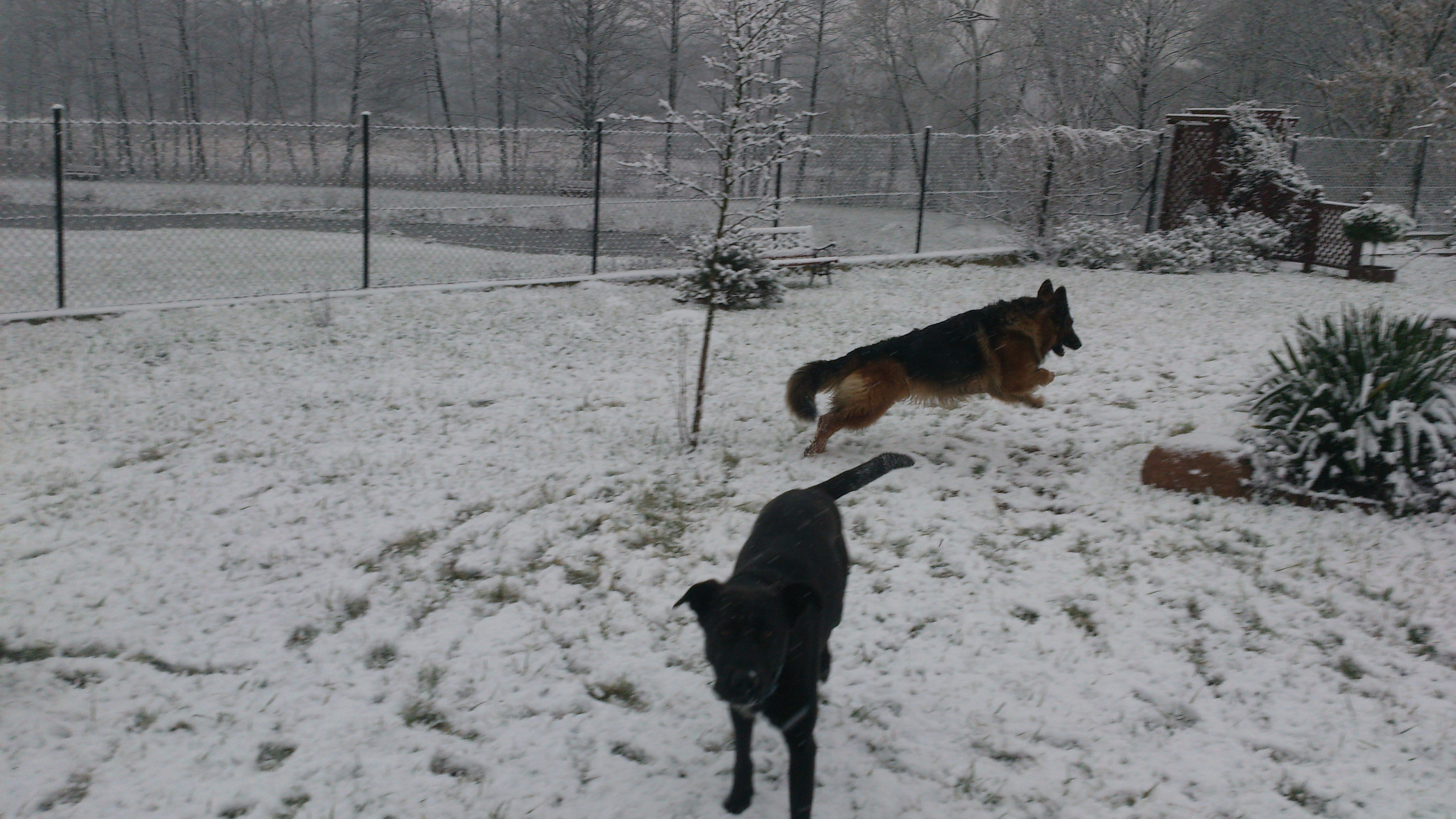 Nikita i Borys -radość na śniegu