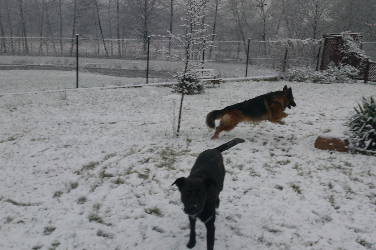 Nikita i Borys -radość na śniegu
