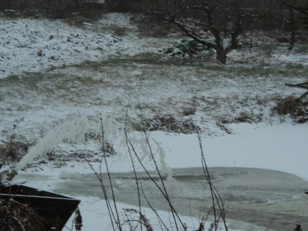 Odrobina tlenu dla rybek w stawku.