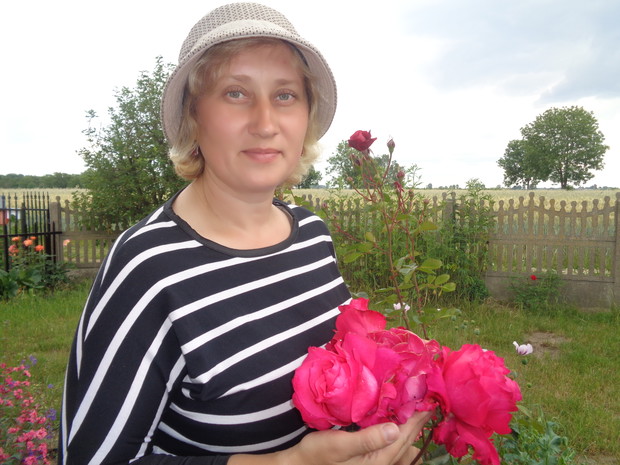 Pierwsza róża o kwiatach jak piwonie. 