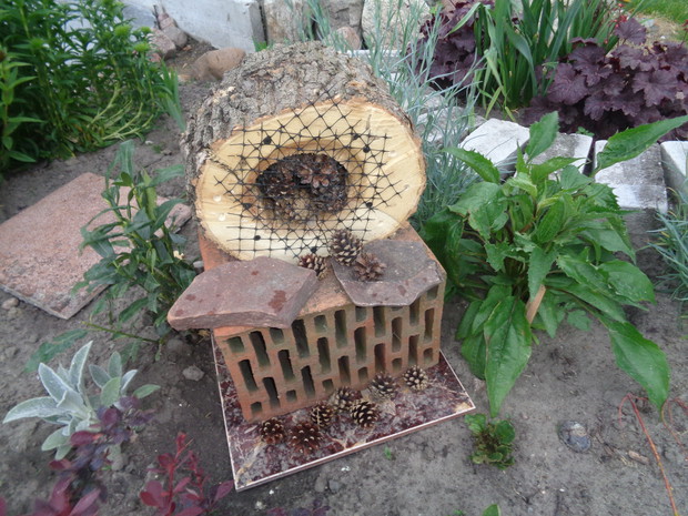 Pierwszy hotel dla owadów. 