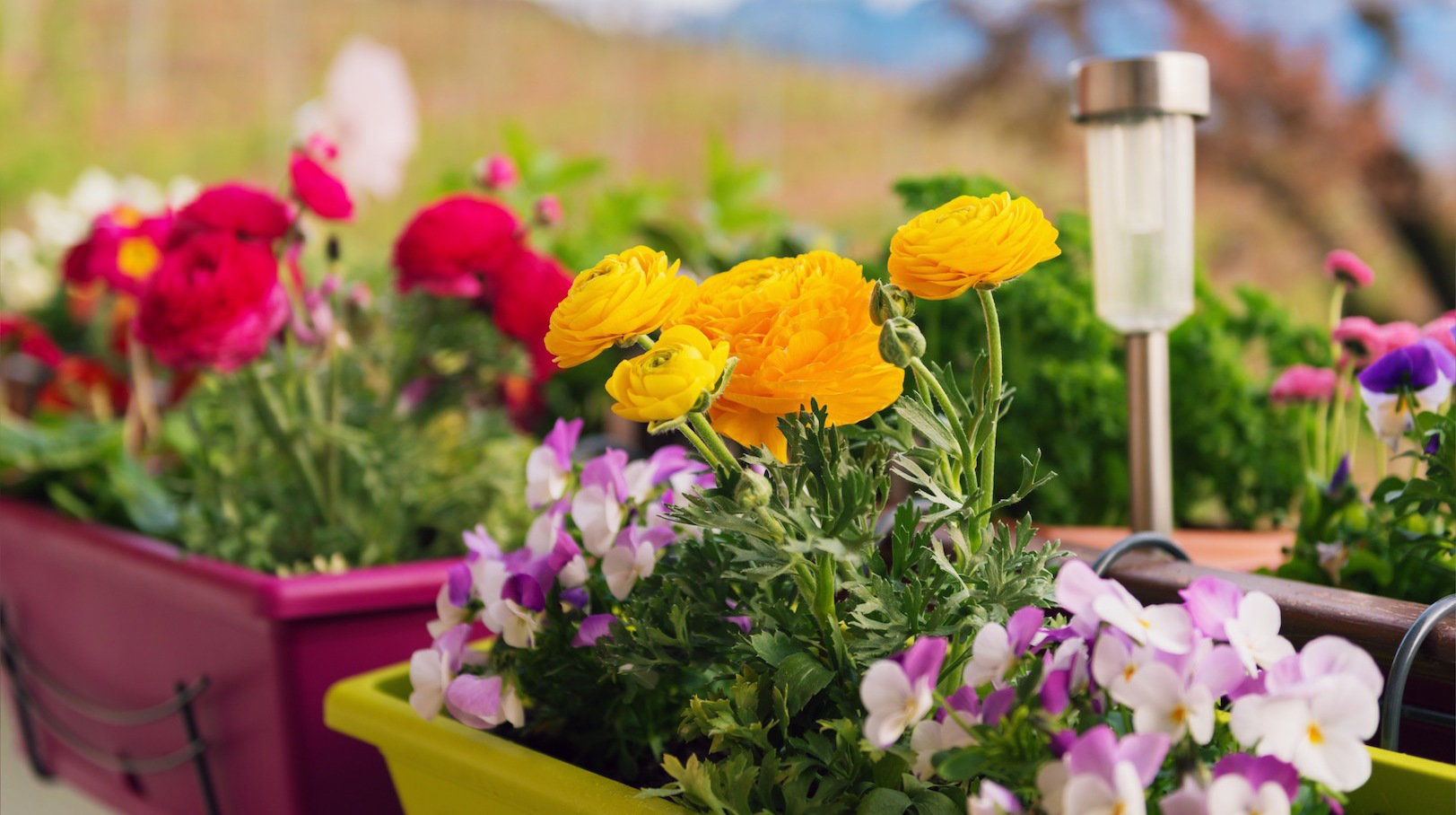 Podwieszanie doniczki balkonowe nie zajmują wiele miejsca a pozwalają mieć namiastkę ogrodu na balkonie (zdj.: Fotolia.com)