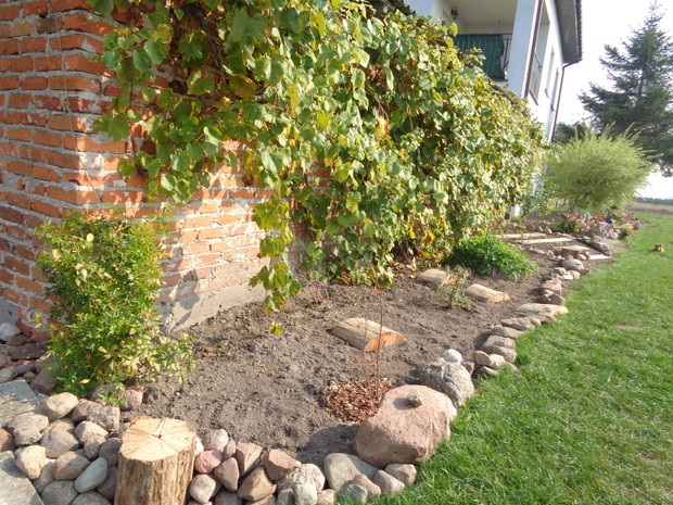 Rabata pozostawiona na wiosnę .... i co by tu zasadzić ? ...