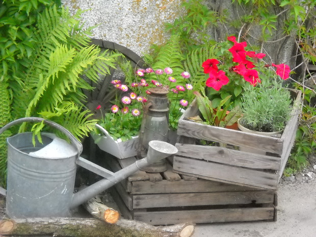 Skrzynki po ziemniakach wypełnione doniczkami.
