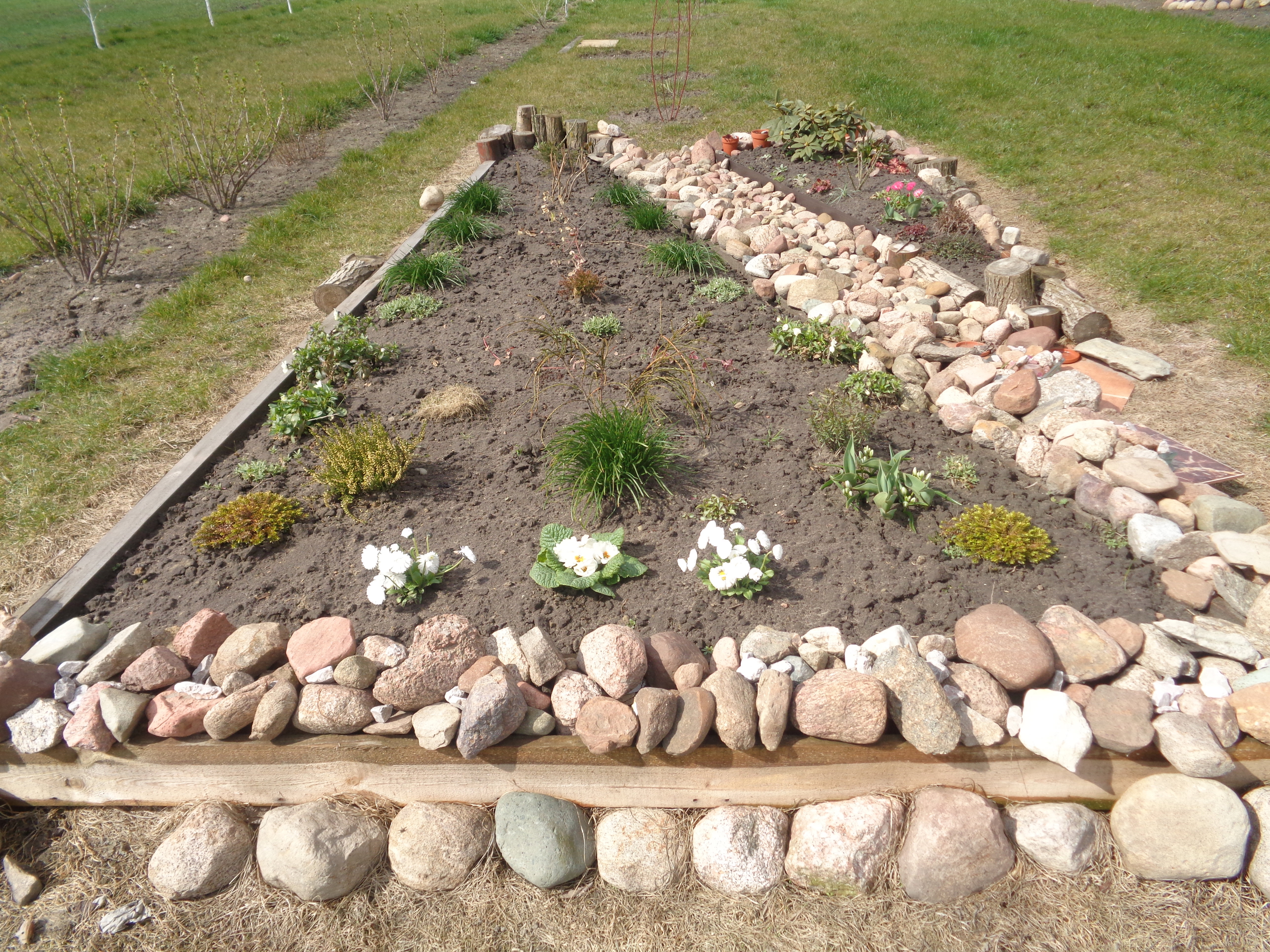 Wczesną wiosną cieszy każdy nawet najmniejszy pierwszy kwiatek. 