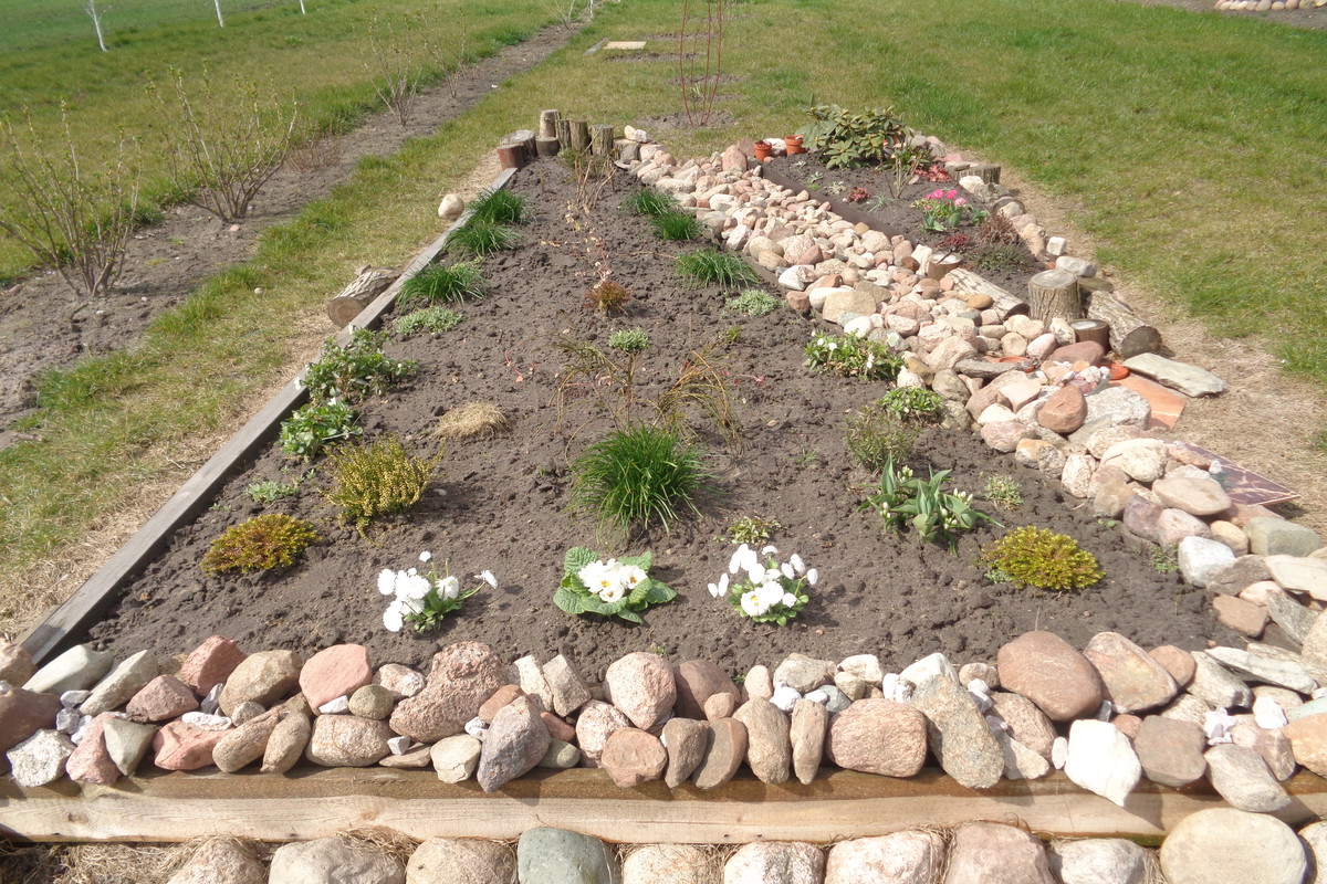 Wczesną wiosną cieszy każdy nawet najmniejszy pierwszy kwiatek.