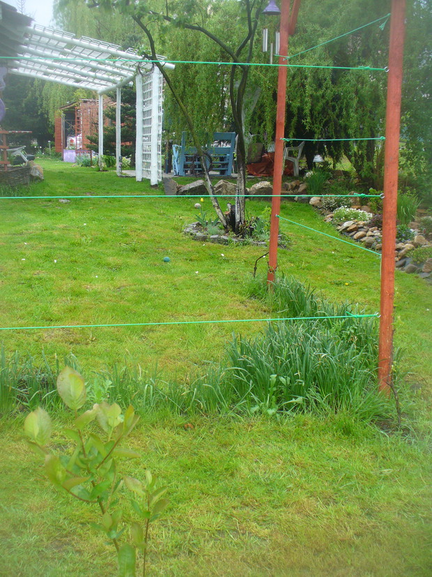 wiosenny widok z "dołu" ogrodu