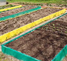 Wzniesiona grządka warzywna (zdj.: Fotolia.com)