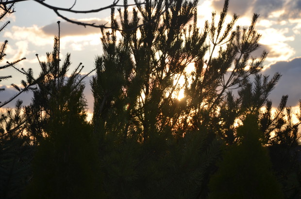 Zachód słońca - kwiecień 2016 r.