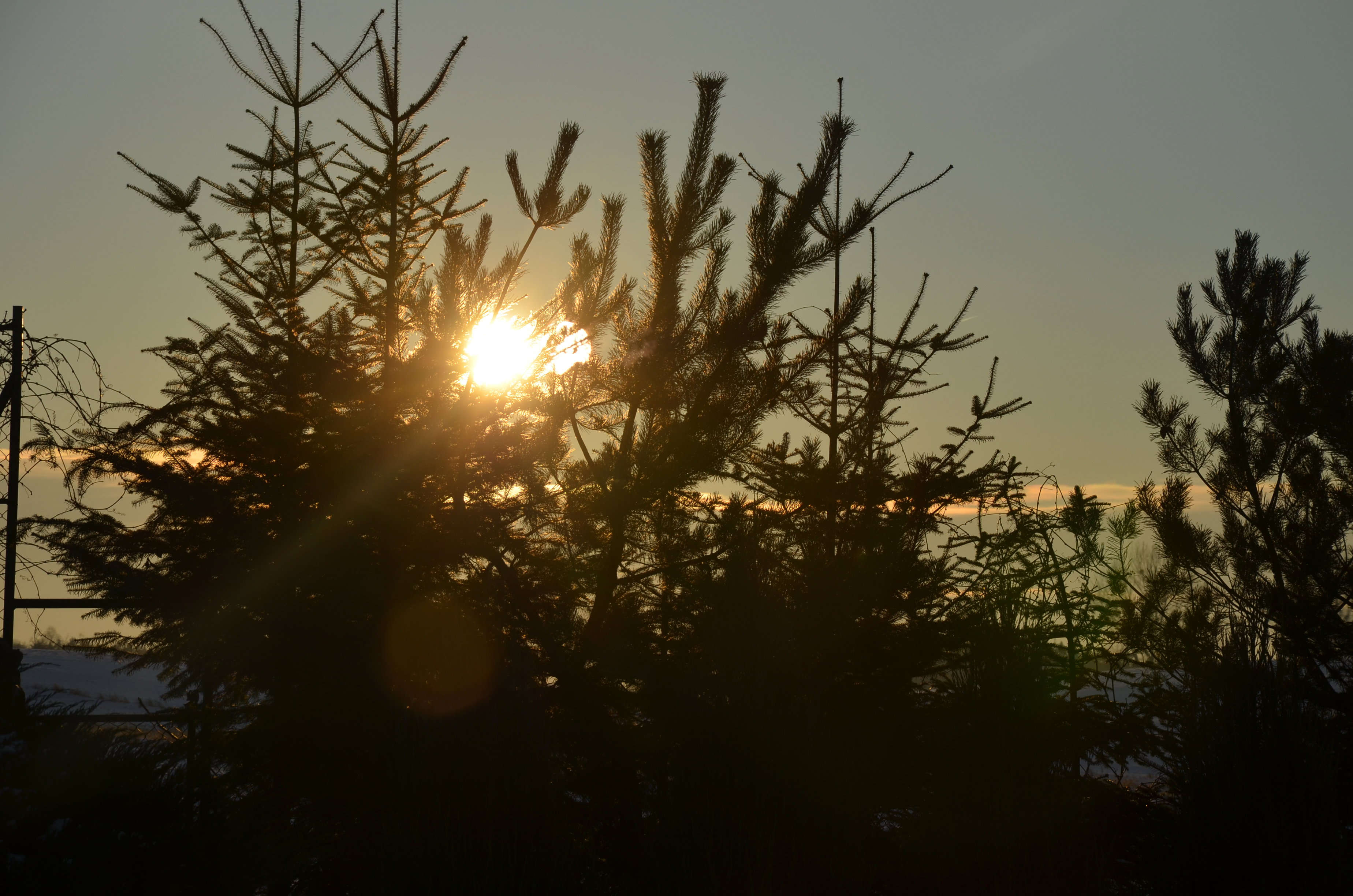Zachód słońca w porze zimowej  :)
 Styczeń :> 2016 r.