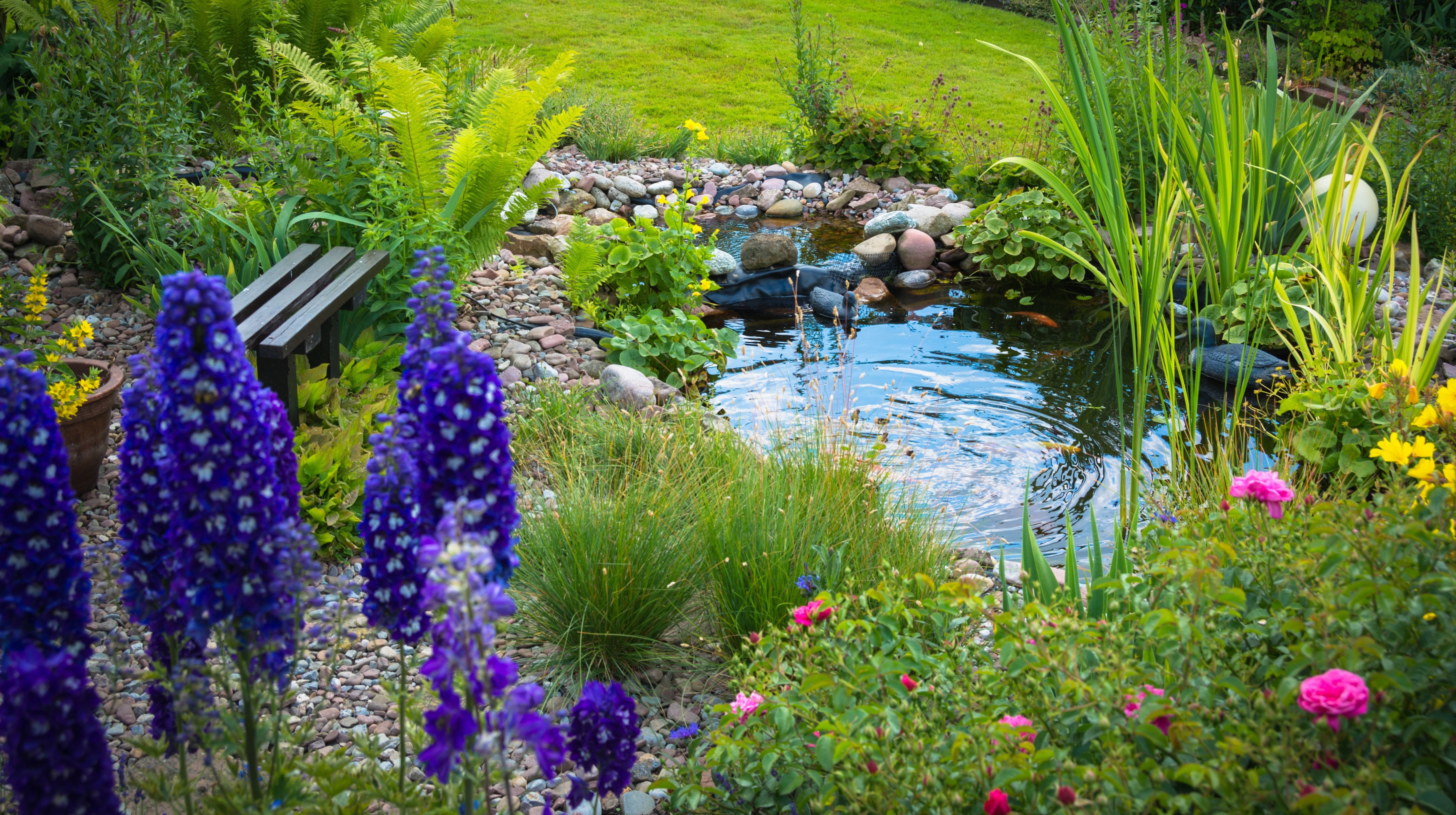 Zadbane oczko wodne otoczone wonnymi roślinami to miejsce idealne do relaksu (zdj.: Fotolia.com)