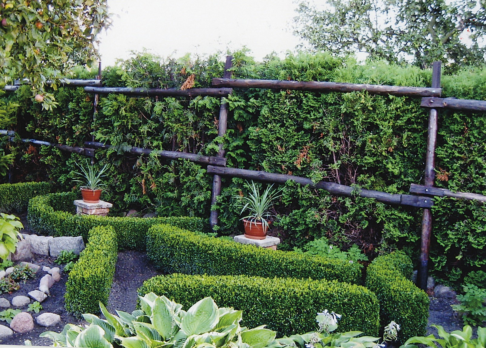 "Zielone ścianki oddzielają poszczególne rośliny i tworzą atrakcyjne labirynty."