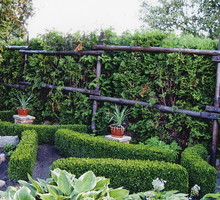 "Zielone ścianki oddzielają poszczególne rośliny i tworzą atrakcyjne labirynty."