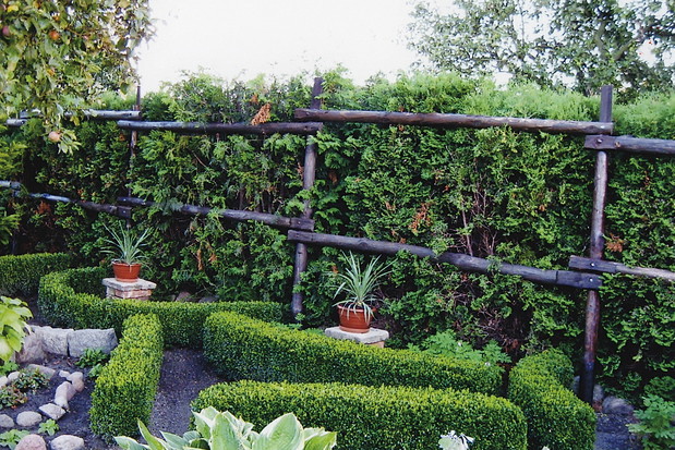 "Zielone ścianki oddzielają poszczególne rośliny i tworzą atrakcyjne labirynty."