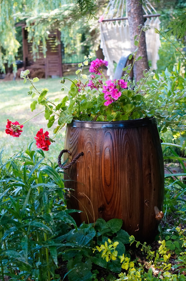 Beczka jako donica na kwiaty
