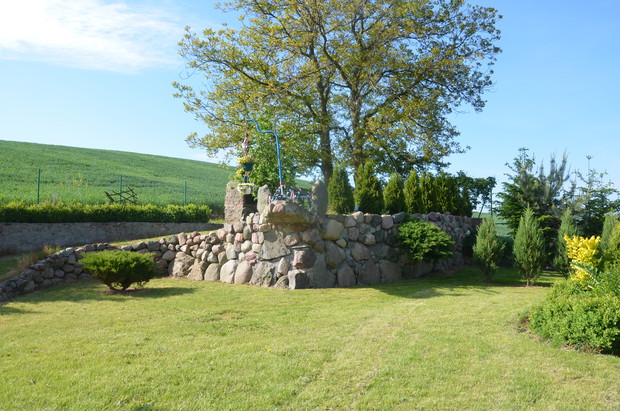 Duży skalniak  , a z niego wyrasta cyprysik :)